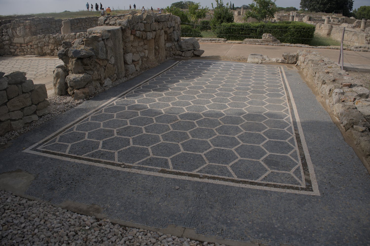 Domus 1- Mosaïques