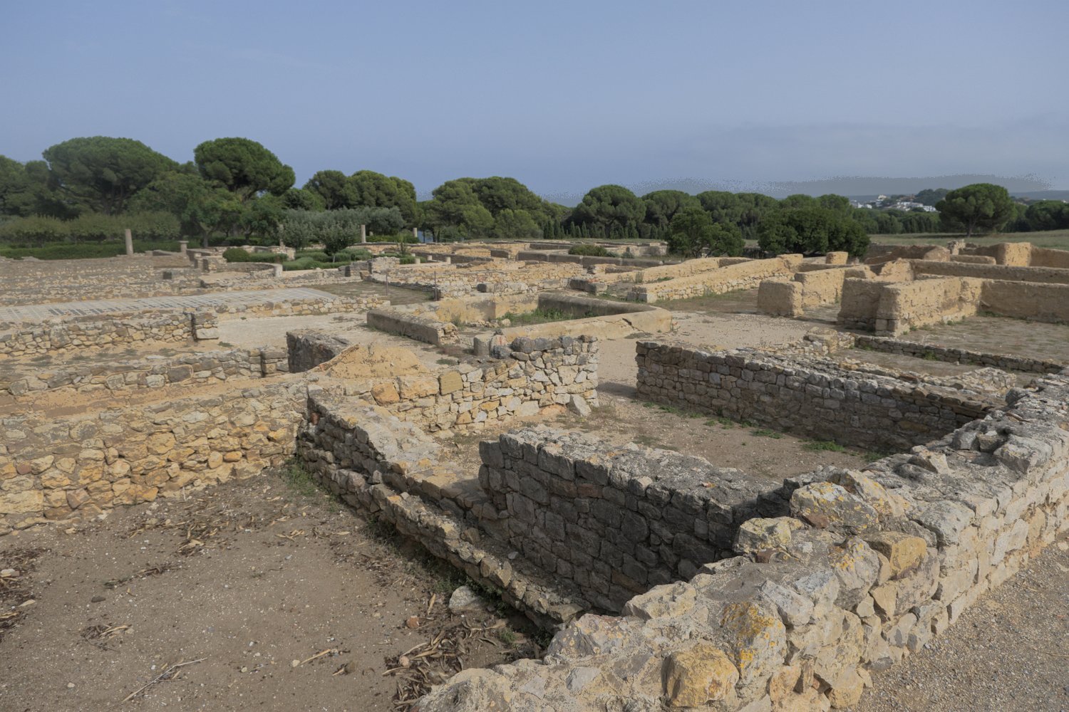 Domus 1