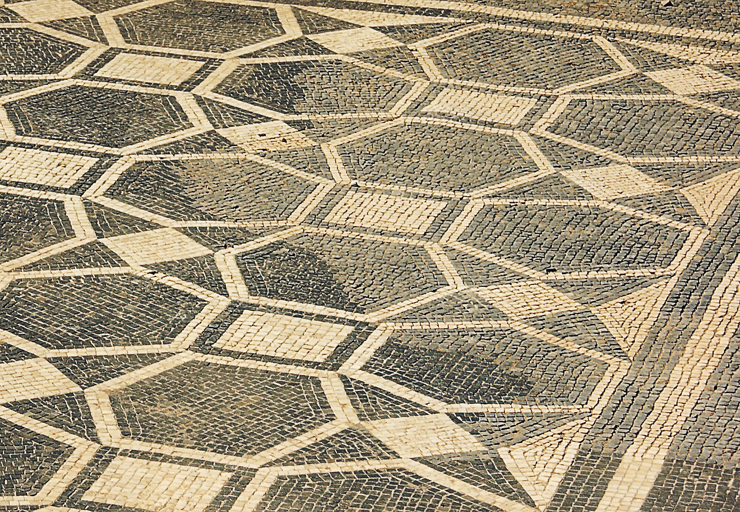 Domus 1 - Mosaïque